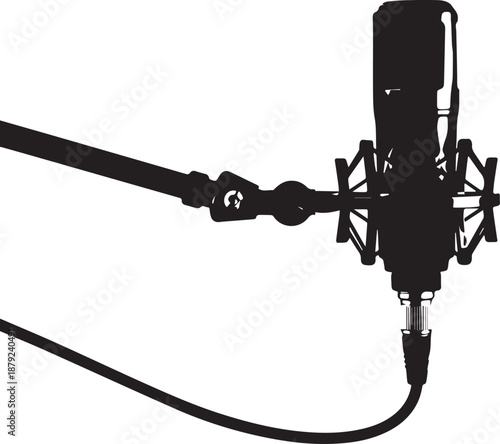 Professional studio condenser microphone with shock mount and boom arm