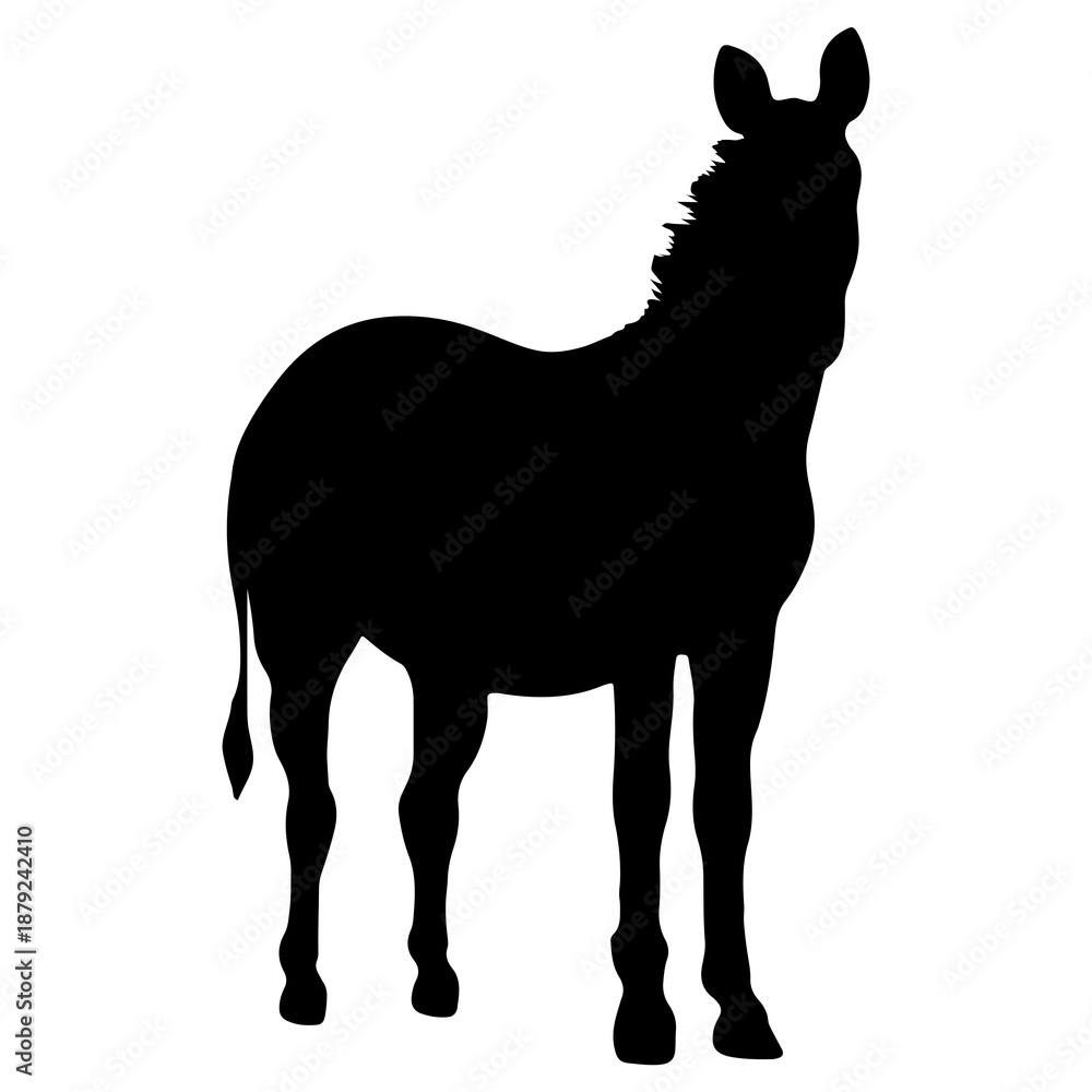 Fototapeta premium Zebra png silhouette sticker, standing animal illustration, transparent background