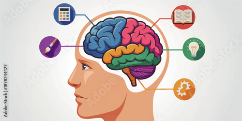 Human brain infographic side profile with colorful cognitive functions icons for creativity learning logic ideas productivity