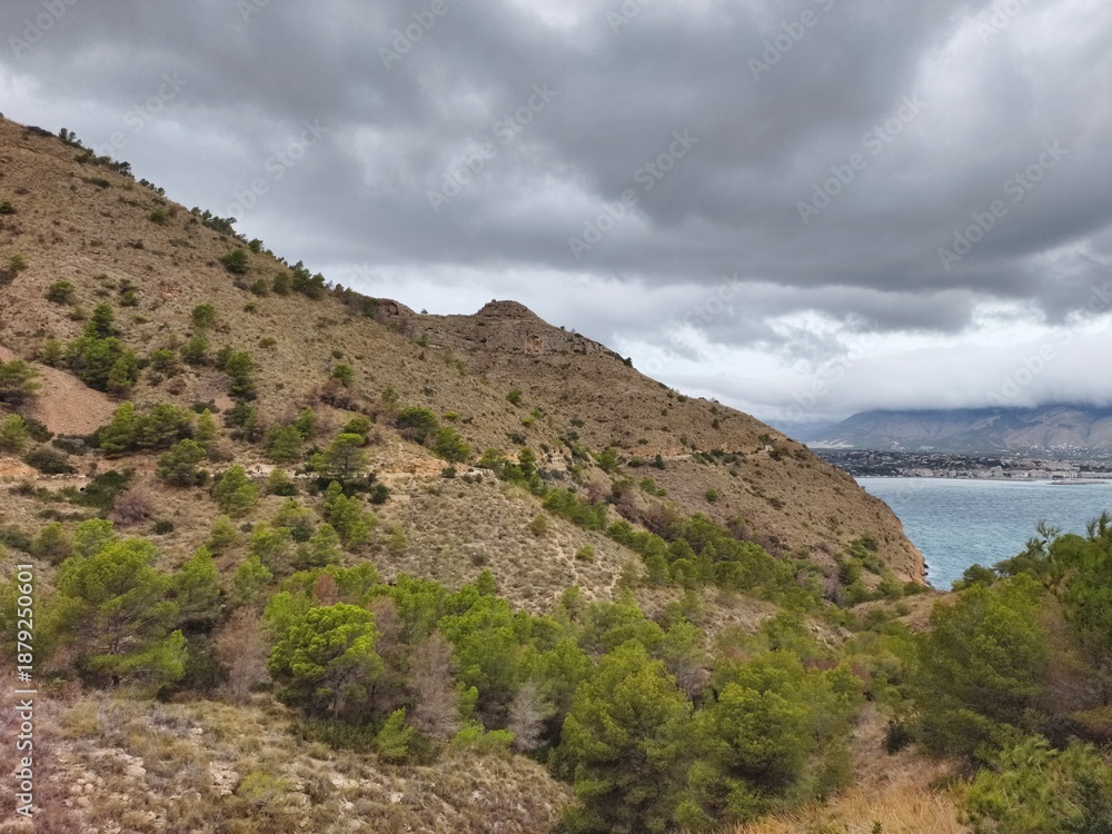 Obraz premium ridge overlooking bay, beautiful coastal ridge offers panoramic views of bay and surrounding pines