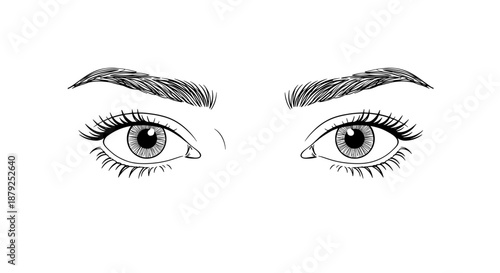 Line drawing of a cat with a playful posture on a transparent background, showcasing its graceful body and sharp eyes, emphasizing natural elegance and charm.