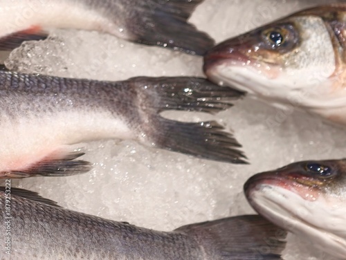 Vászonkép icecold display of uniformly arranged sea bass emphasizing freshness and retail