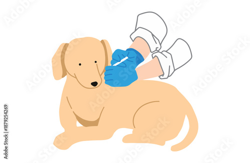 注射を刺されている犬　手書きイラスト