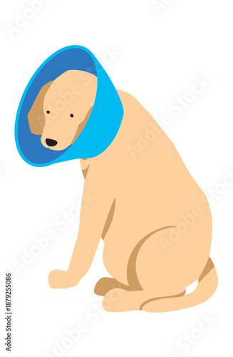 エリザベスカラーをつける犬　手書きイラスト