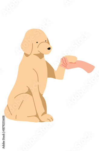 お手をする犬　手書きイラスト