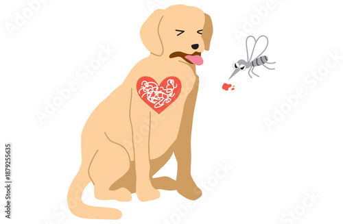 フィラリア症に感染した犬　手書きイラスト