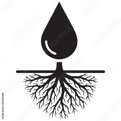 Illustration of plant growth isolated on white background, Vector, illustration