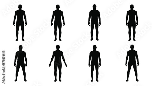 Silhouettes of human figures in various poses isolated on white background, Vector
