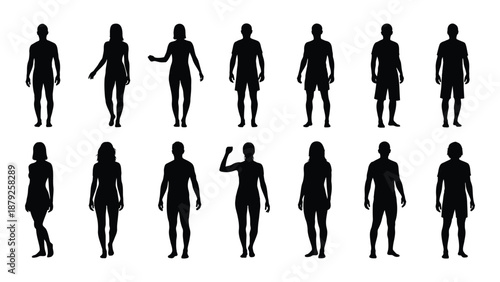 Silhouettes of various human figures isolated on white background, Vector