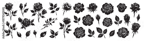 Set of hand drawn black ink brush illustrations depicting rose flowers buds and leaves.