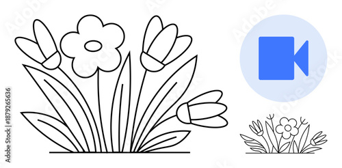 Nature, seasons, spring visuals, multimedia design, floral motifs, education. An outline drawing of flowers with a blue video icon. Nature and multimedia design concept