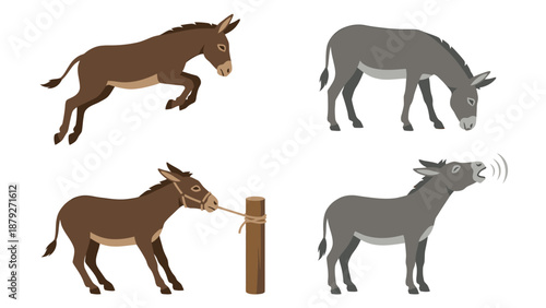 Donkey Cartoon Set: Leaping, Grazing, Tethered, and Bellowing
