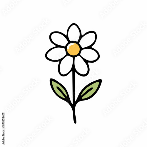Simple illustration of a daisy flower with green leaves on a single stem