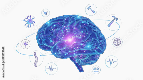 Human brain illustration showcasing cognitive functions and neuroscience concepts from a lateral viewpoint