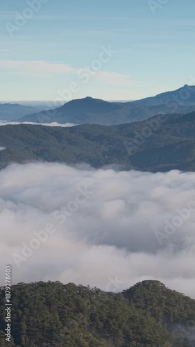 Landscape of misty valley and mountain clouds sea. Royalty high-quality free best stock aerial view of the trees in the valley with fog in the morning, Cloudy over the pine forest, amazing nature