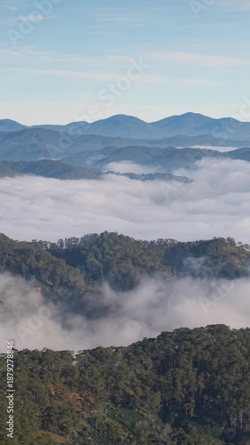 Landscape of misty valley and mountain clouds sea. Royalty high-quality free best stock aerial view of the trees in the valley with fog in the morning, Cloudy over the pine forest, amazing nature