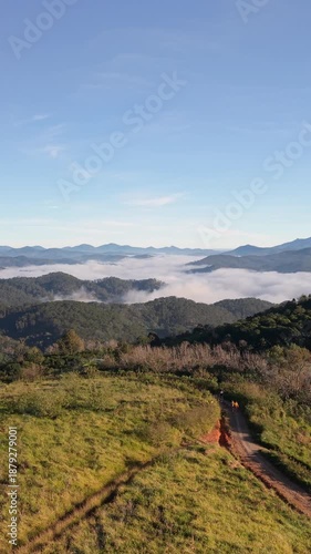 Landscape of misty valley and mountain clouds sea. Royalty high-quality free best stock aerial view of the trees in the valley with fog in the morning, Cloudy over the pine forest, amazing nature