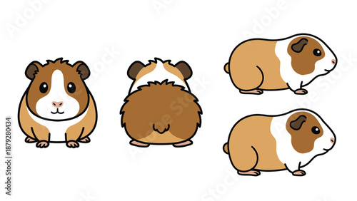 Cute Guinea Pig Illustration Set - Front, Back, and Side Views