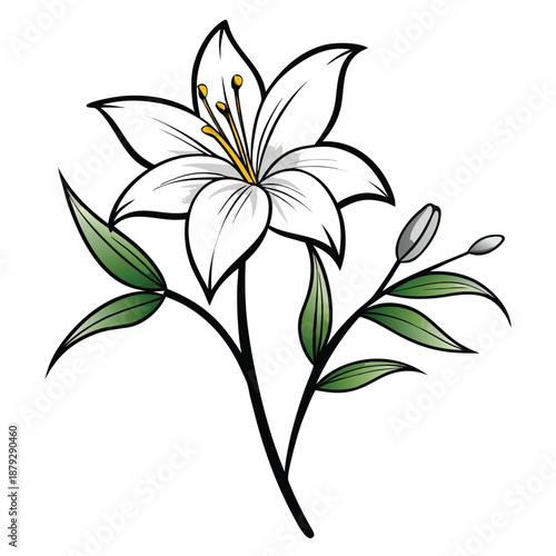 Adobe Illustrator Artwork zephyranthes robusta flower line art on white background