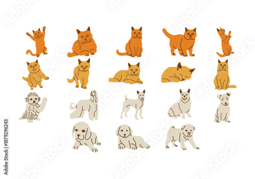 Hand Drawn Pet Element