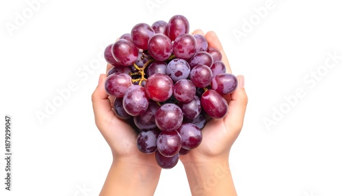 flat lay hand holding grapes on white background