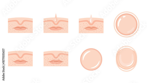 Skin Aging Wrinkles and Cream Icons Vector Illustration