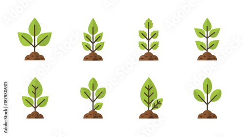 Growing Plants Set: Seedlings in Soil, Nature Growth Stages
