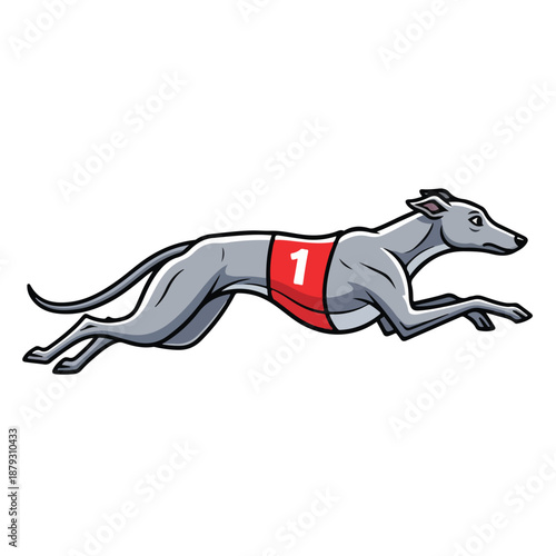 A greyhound dog in mid-run with racing bib