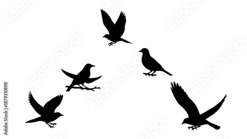 Silhouettes of birds flying and perched against a white background.