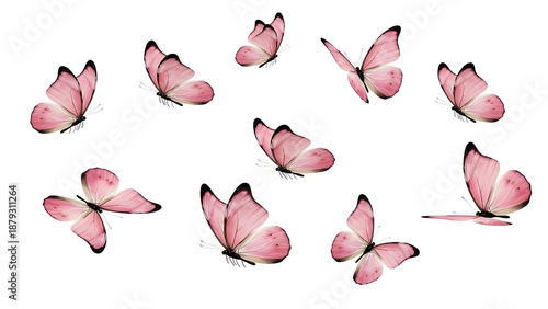 Set of 10 Pink Watercolor Butterfly Illustrations isolated PNG with Transparent Background