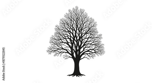 Black silhouette of a bare winter tree with complex branching structure.