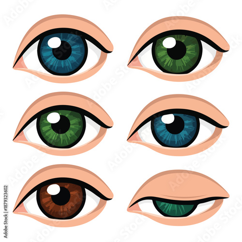 A set colorful cartoon eyes with different iris colors
