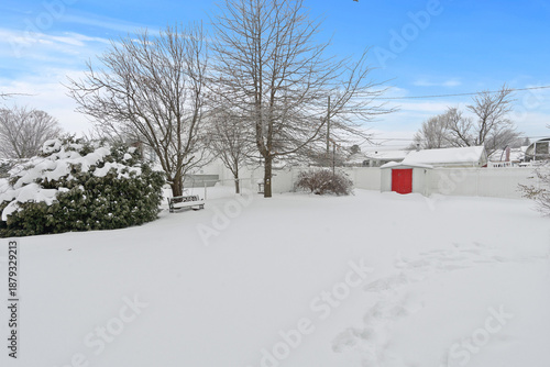 Beautiful winter landscape covered with fresh white snow, featuring pine trees and a clear blue sky. This image is perfect for travel, holiday, Christmas, New Year, nature background, seasonal design,