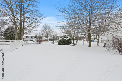 Beautiful winter landscape covered with fresh white snow, featuring pine trees and a clear blue sky. This image is perfect for travel, holiday, Christmas, New Year, nature background, seasonal design,