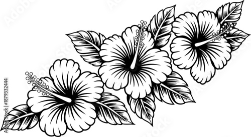 Wallpaper Mural Hibiscus Flower Silhouette Vector Tropical Floral Ornament with Leaves for Wedding Invitation Decoration Torontodigital.ca