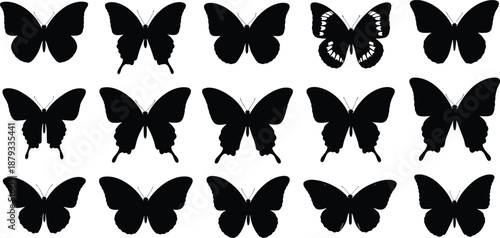 Black butterfly silhouettes collection, diverse species wing shapes set, elegant insect nature design elements, decorative fly silhouettes isolated on white background, butterfly vector icons 