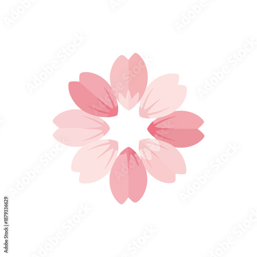 Soft Sakura Flower Top View