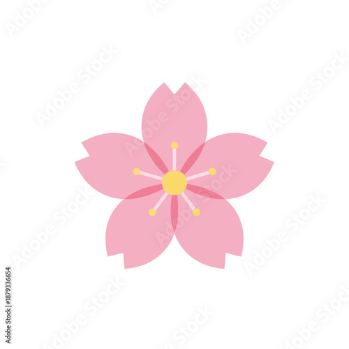 Sakura Flower with Yellow Center