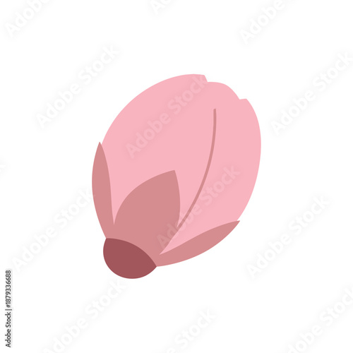 Sakura Bud Close Up
