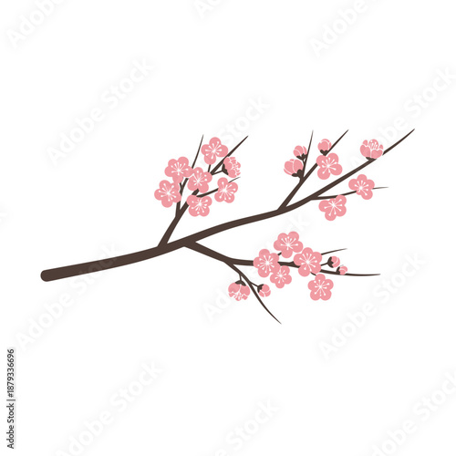 Cherry Blossom Branch with Flowers