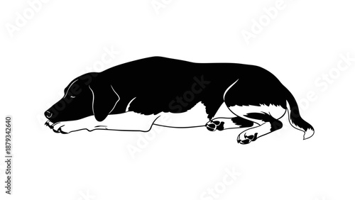 Black and White Sleeping Dog Vector Illustration