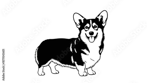 Black and White Corgi Dog Vector Illustration