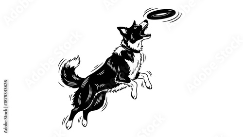 Black and White Border Collie Dog Jumping to Catch Flying Disc Vector Illustration