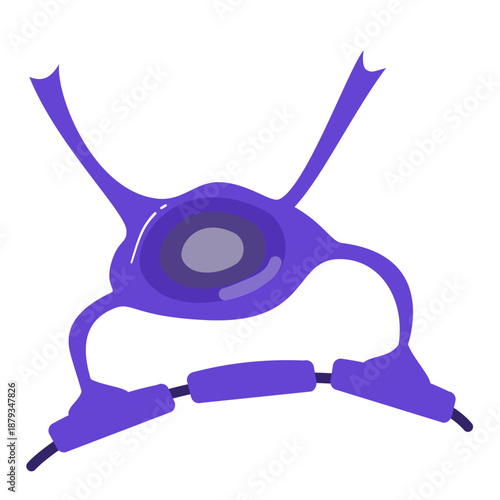 Oligodendrocyte Illustration. Oligodendrocyte and Schwann cell