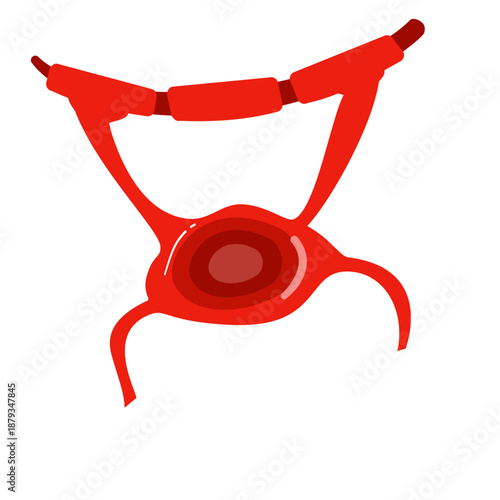 Oligodendrocyte Illustration. Oligodendrocyte and Schwann cell