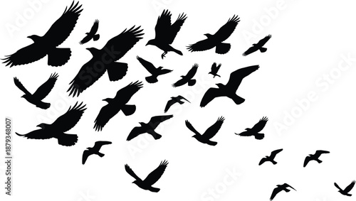 Silhouettes of flying birds in dynamic flock formation, wildlife illustration ideal nature-themed design, migration concepts, freedom symbolism, outdoor artwork, and environmental creative projects
