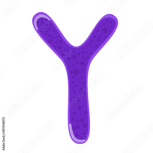 Bifidobacterium Probiotic Illustration