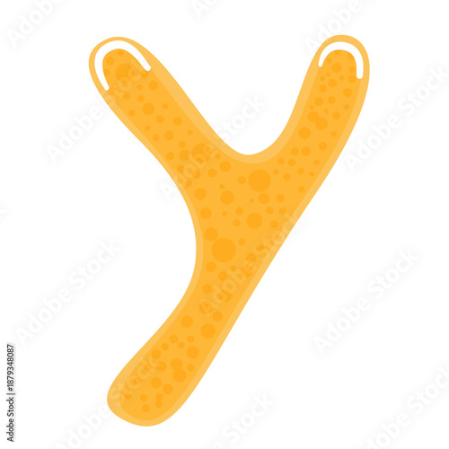 Bifidobacterium Probiotic Illustration