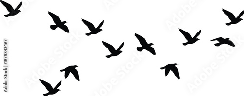 Silhouettes of small birds flying in loose formation, wildlife illustration suitable for nature-themed design, migration concepts, freedom symbolism, outdoor artwork, environmental creative projects