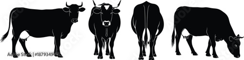 PrintSet of cow silhouettes featuring cattle in different poses including side view front view and grazing.